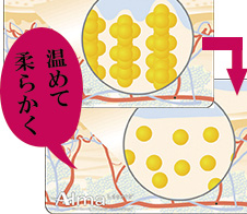 脂肪やセルライトを溶かす